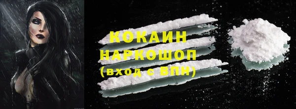 дживик Володарск
