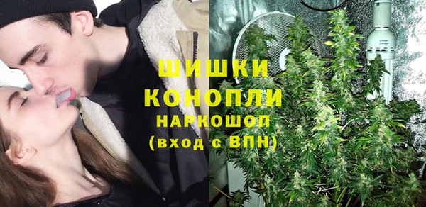 дживик Володарск
