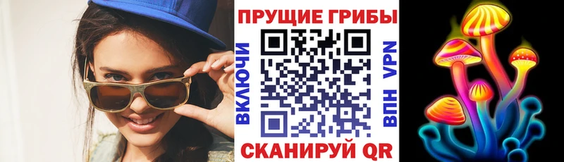 Псилоцибиновые грибы Psilocybe  Минеральные Воды 