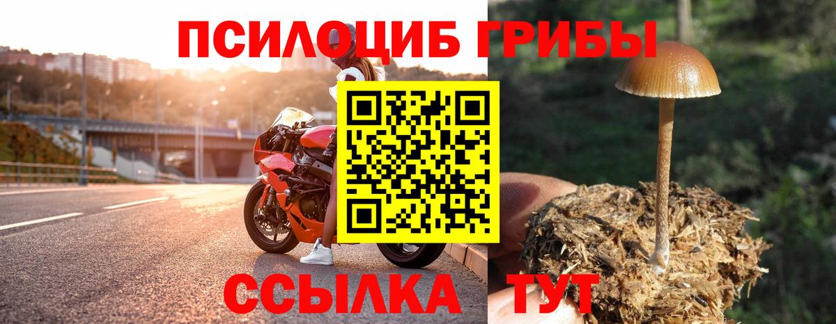 наркошоп  Минеральные Воды  Псилоцибиновые грибы прущие грибы 