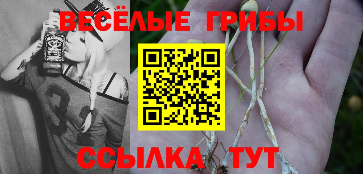Галлюциногенные грибы Psilocybe  Вход с VPN  Минеральные Воды 